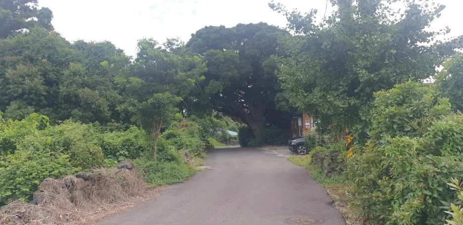 KakaoTalk_20220828_044122015_06.jpg?type=w1