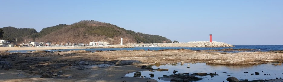 SE-1603060d-84bb-43c2-9f80-1da171fe9a73.jpg?type=w1