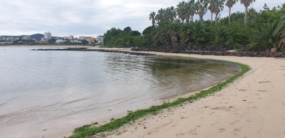 KakaoTalk_20220828_043901054_02.jpg?type=w1