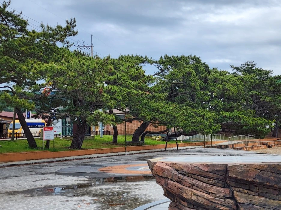 KakaoTalk_20240508_155917921_10.jpg?type=w1