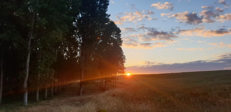 KakaoTalk_20220605_011851608_06.jpg?type=w1