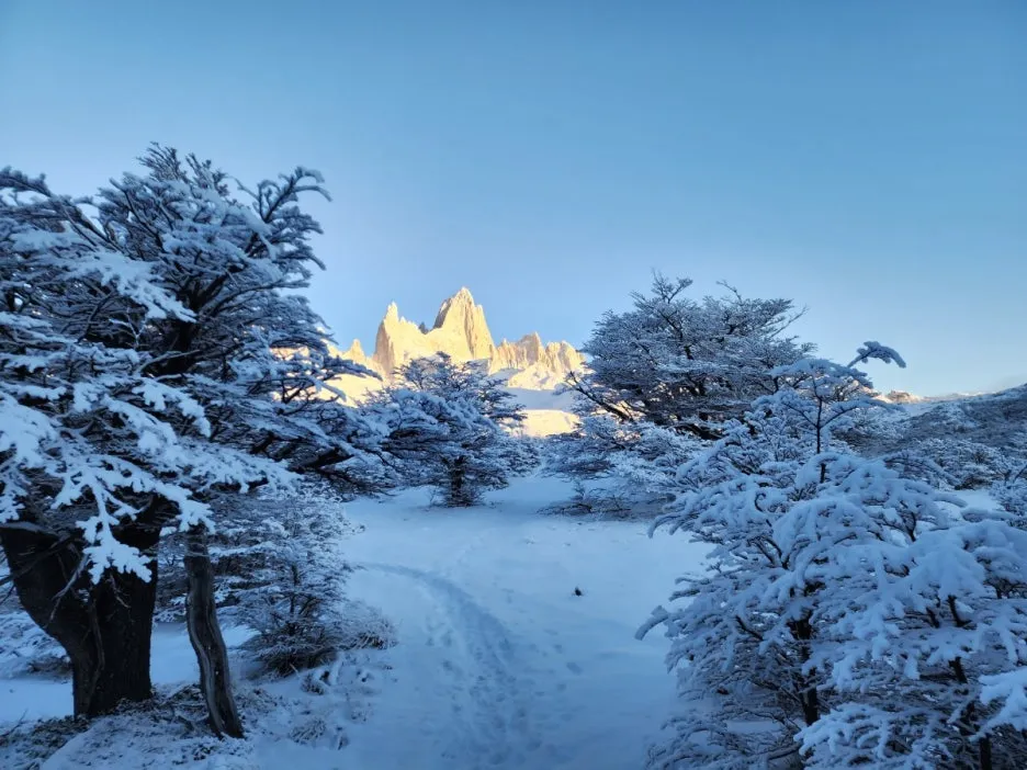 KakaoTalk_20240809_044224426_18.jpg?type=w1