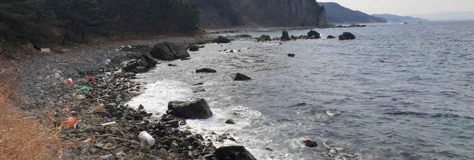 SE-768ca1ce-848d-4a36-b0f9-f05dd9a9de53.jpg?type=w1