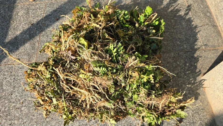 SE-8510a15c-36cb-4aaa-83a5-9756ef5c63b8.jpg?type=w1