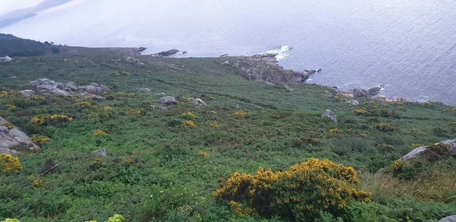 KakaoTalk_20220816_114523655_01.jpg?type=w1