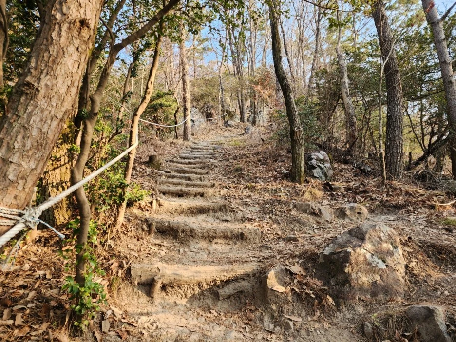 KakaoTalk_20230210_044009770_01.jpg?type=w1