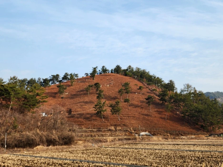 KakaoTalk_20230220_054046906_05.jpg?type=w1