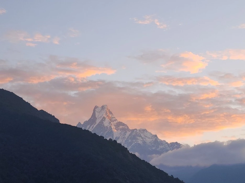 KakaoTalk_20221117_072939349.jpg?type=w1