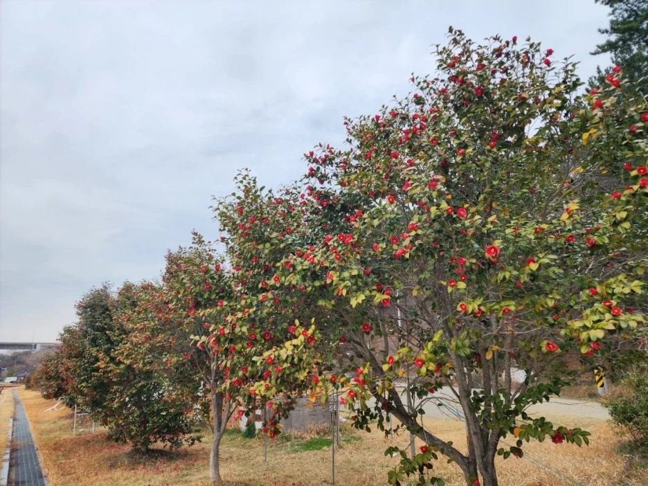 KakaoTalk_20230318_053254690_06.jpg?type=w1