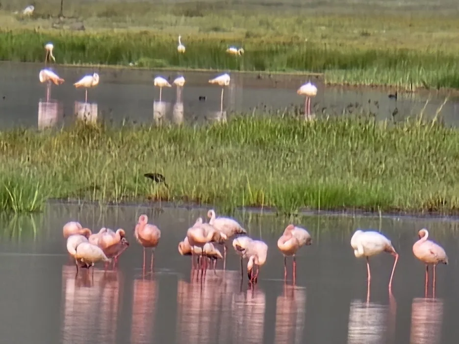 KakaoTalk_20250405_153555823_16.jpg?type=w1