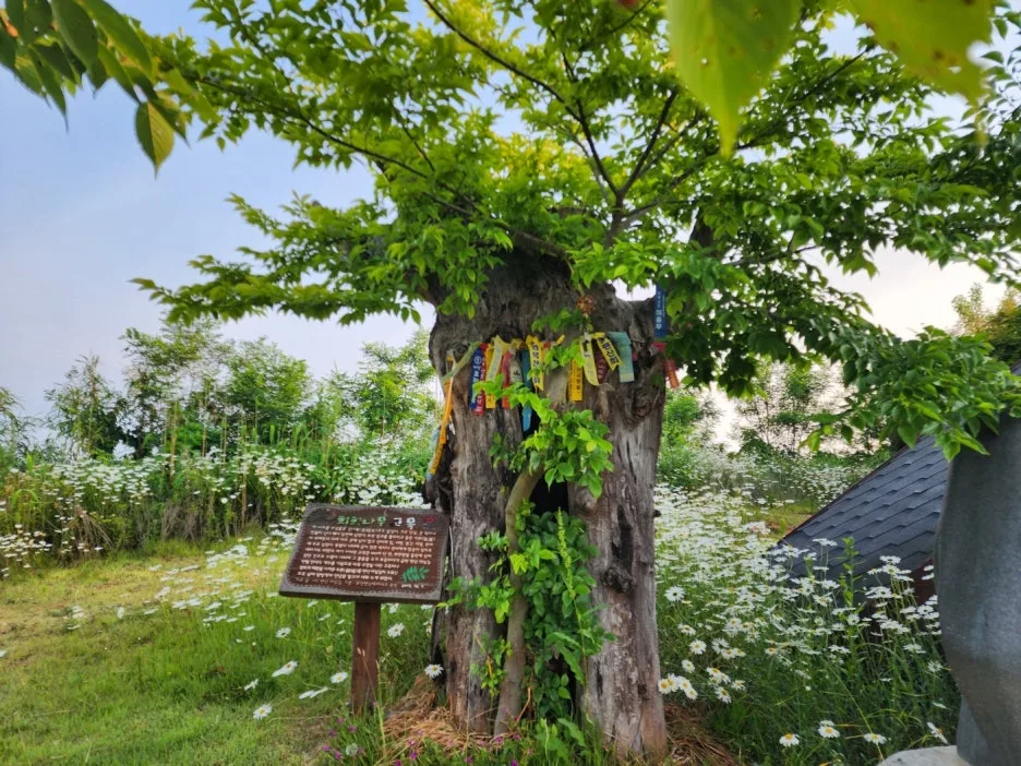 KakaoTalk_20240605_161917270_12.jpg?type=w1