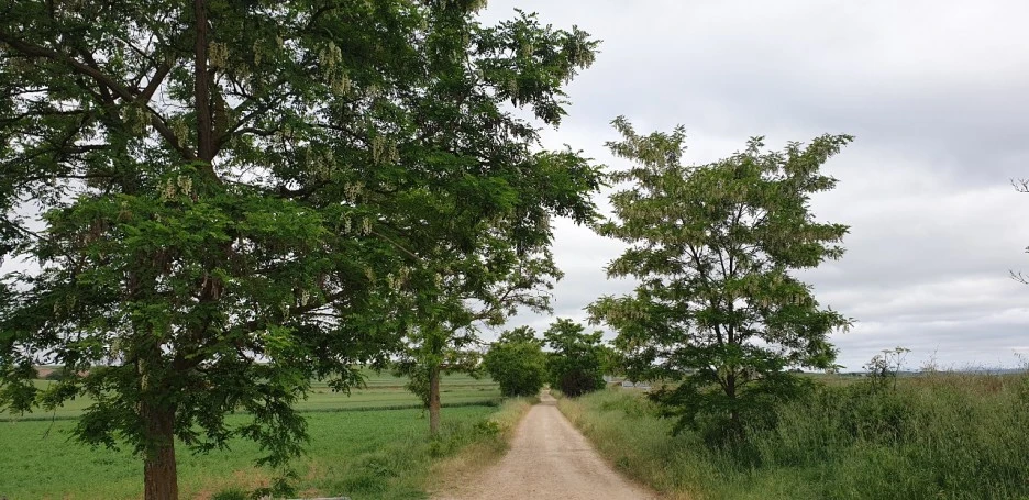 KakaoTalk_20220528_043927865_03.jpg?type=w1