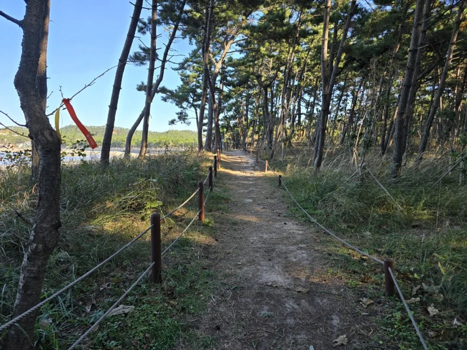 KakaoTalk_20241105_163345460_13.jpg?type=w1