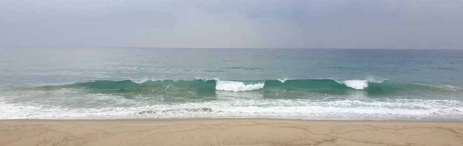 SE-01ebce4a-0aeb-4986-bd87-db6f485dc6cd.jpg?type=w1