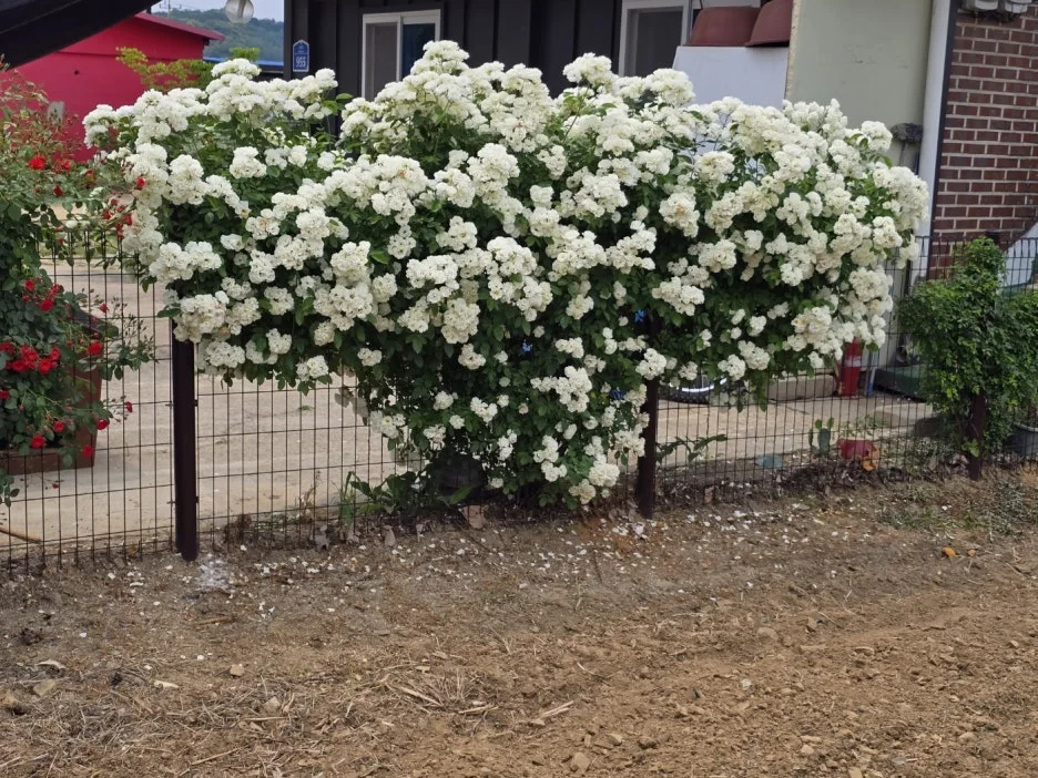 KakaoTalk_20250613_195634658_24.jpg?type=w1