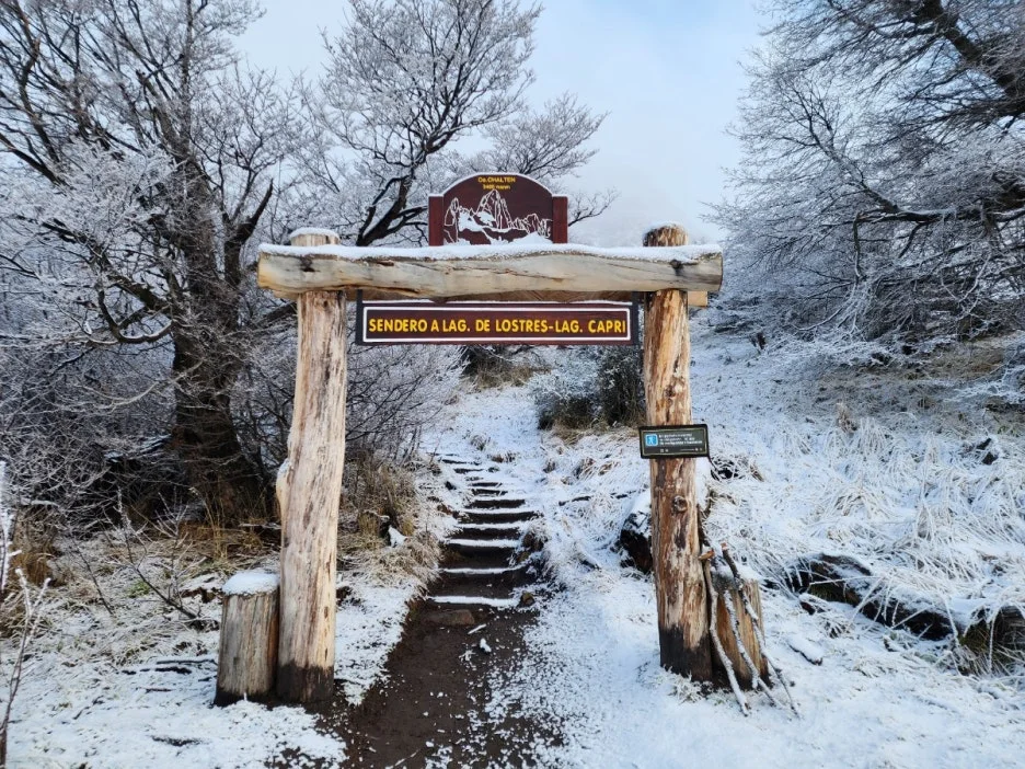 KakaoTalk_20240806_083145095.jpg?type=w1