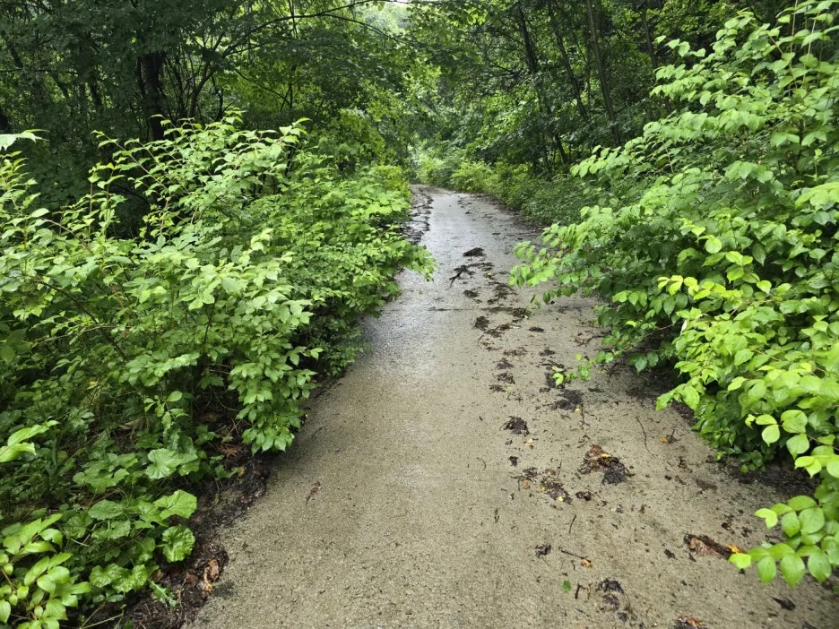 KakaoTalk_20250616_162403225_14.jpg?type=w1