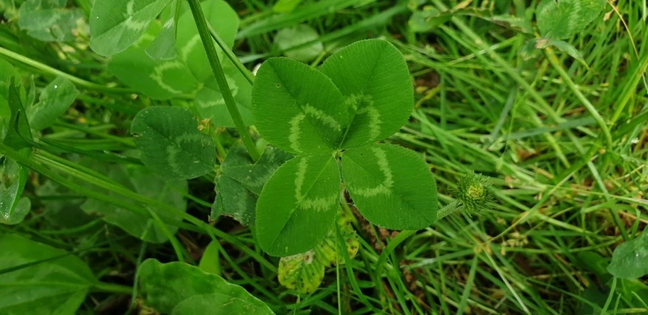 KakaoTalk_20220611_193638292_13.jpg?type=w1