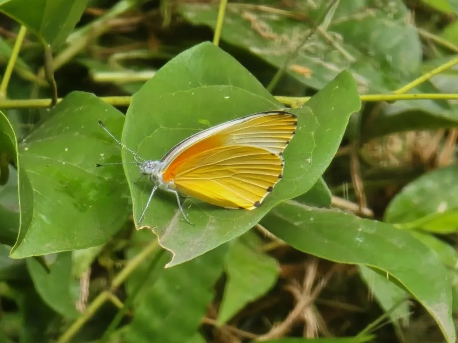 KakaoTalk_20250405_185635876_21.jpg?type=w1