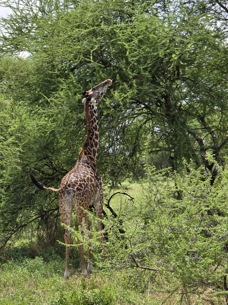 KakaoTalk_20250405_112215504_05.jpg?type=w1