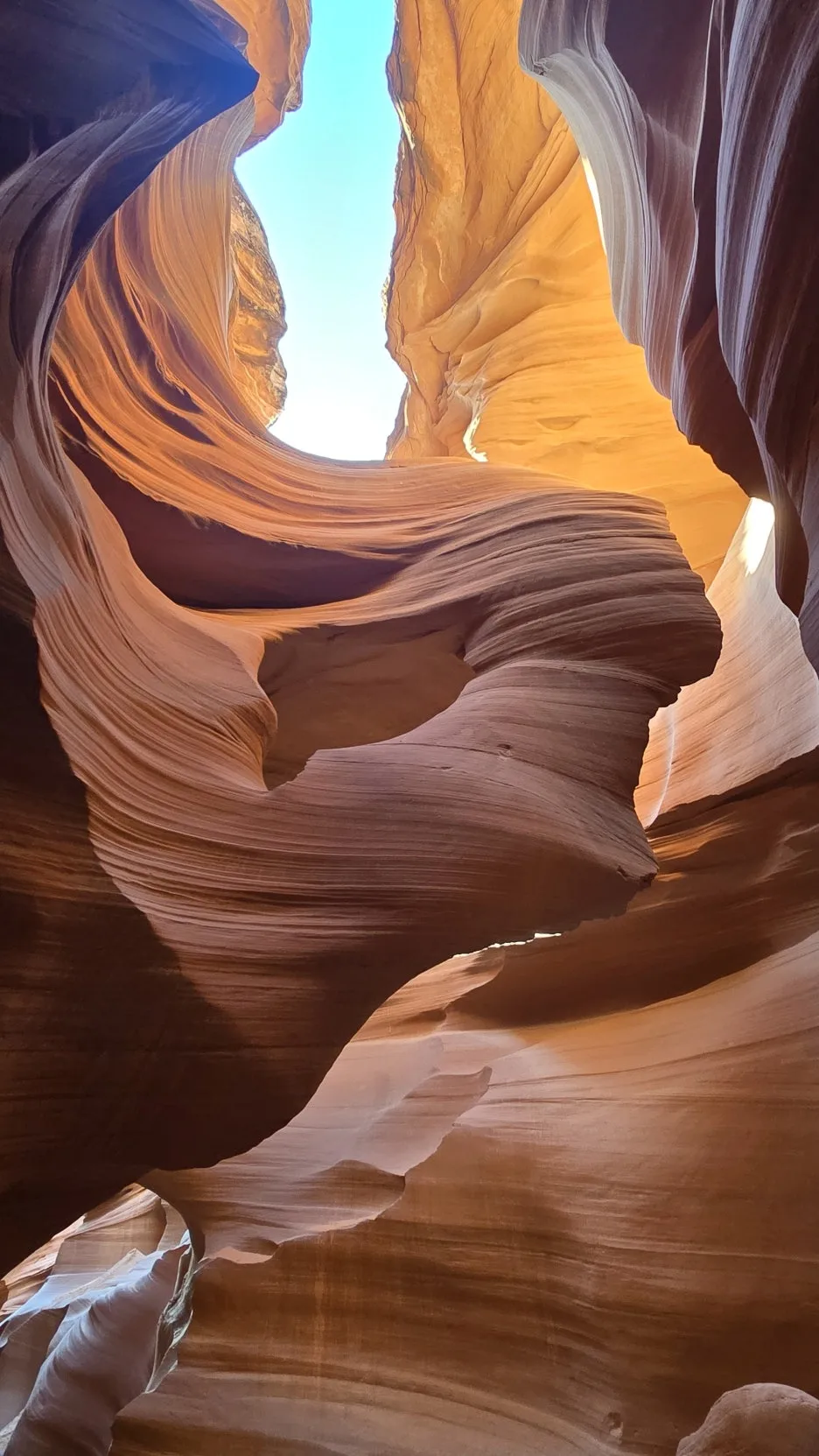 KakaoTalk_20250818_070946408_03.jpg?type=w1