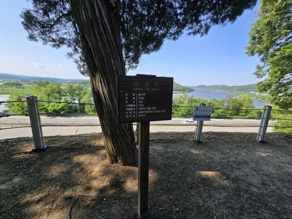 KakaoTalk_20250612_022141210_22.jpg?type=w1