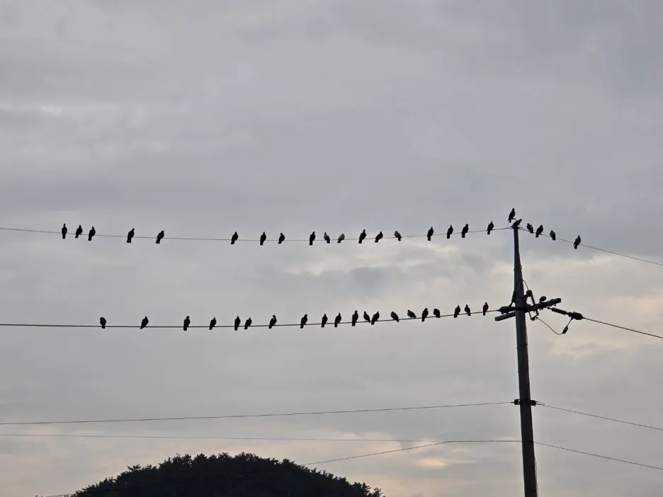 KakaoTalk_20241115_030027839_04.jpg?type=w1