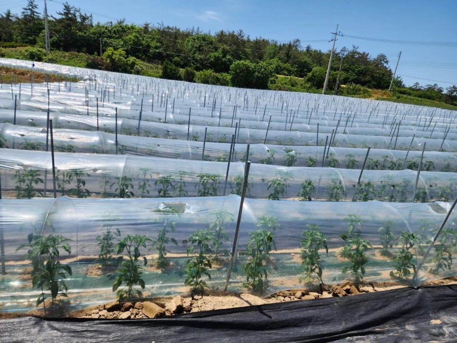 KakaoTalk_20240511_041926496_17.jpg?type=w1