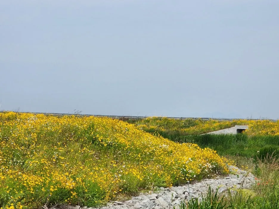 KakaoTalk_20240605_162157830_10.jpg?type=w1