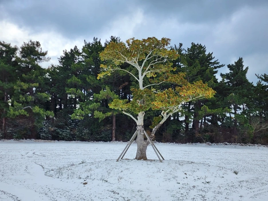 KakaoTalk_20221228_163549869_09.jpg?type=w1