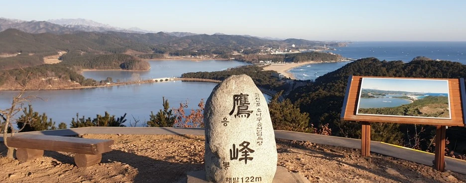 SE-a28f19fd-44da-4552-a8ed-b5310023b016.jpg?type=w1