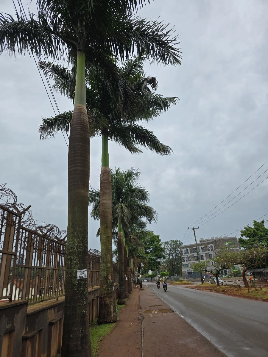 KakaoTalk_20250331_130258791_06.jpg?type=w1