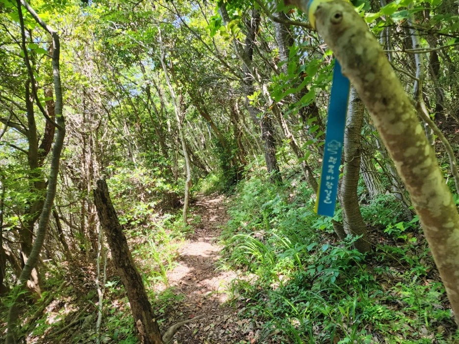 KakaoTalk_20240515_001430344_20.jpg?type=w1