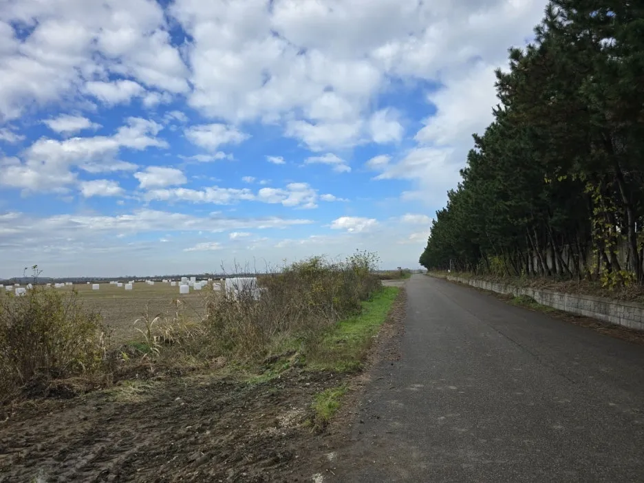 KakaoTalk_20241116_023630166_15.jpg?type=w1