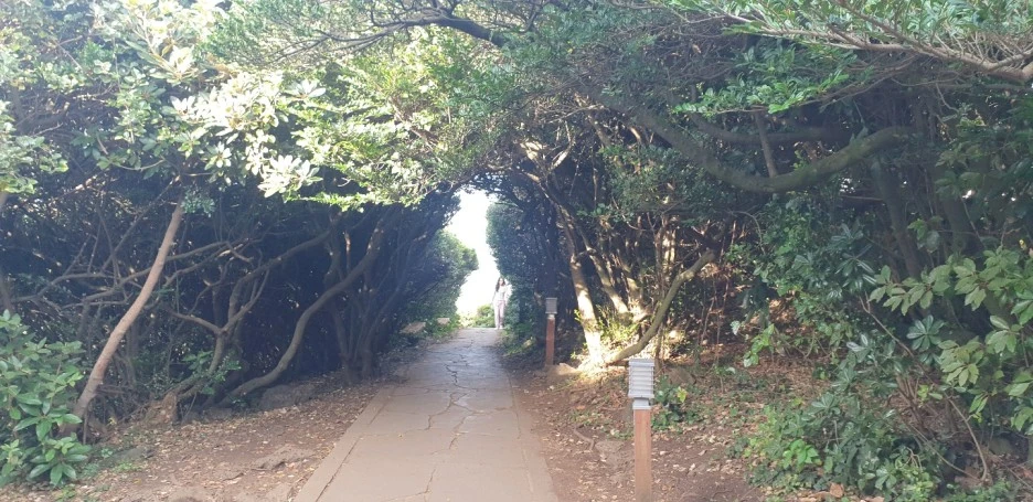 KakaoTalk_20220830_013115514_04.jpg?type=w1