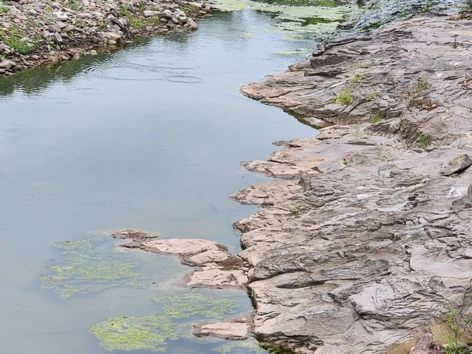 KakaoTalk_20240906_110449618_03.jpg?type=w1