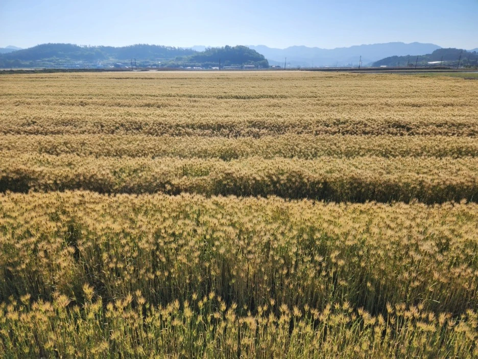 KakaoTalk_20240509_210926028_05.jpg?type=w1