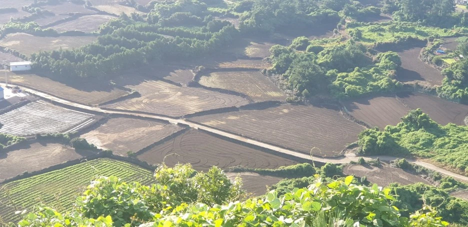 KakaoTalk_20220827_045330099_06.jpg?type=w1