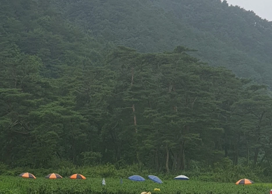 SE-07b9f974-0d3b-403b-881e-60aca46d7528.jpg?type=w1