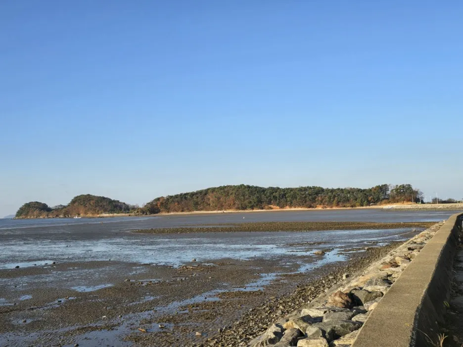 KakaoTalk_20241122_202414998_08.jpg?type=w1