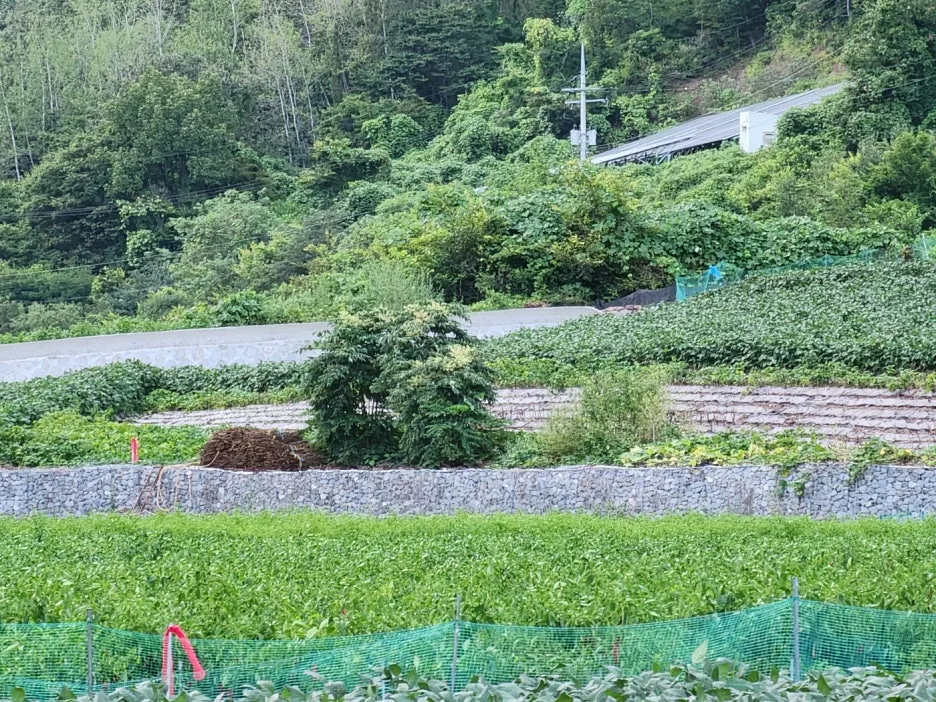 KakaoTalk_20240829_172128613_03.jpg?type=w1