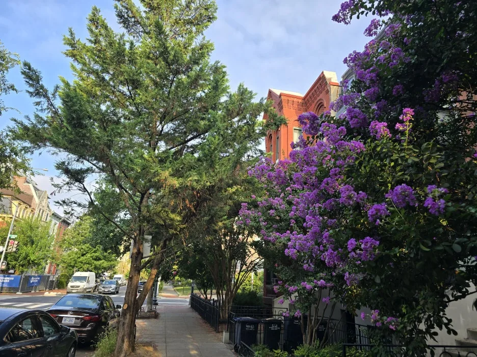 KakaoTalk_20250809_085844562_04.jpg?type=w1