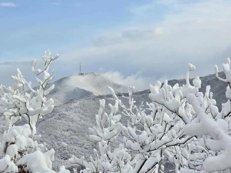 KakaoTalk_20241129_050938052_14.jpg?type=w1