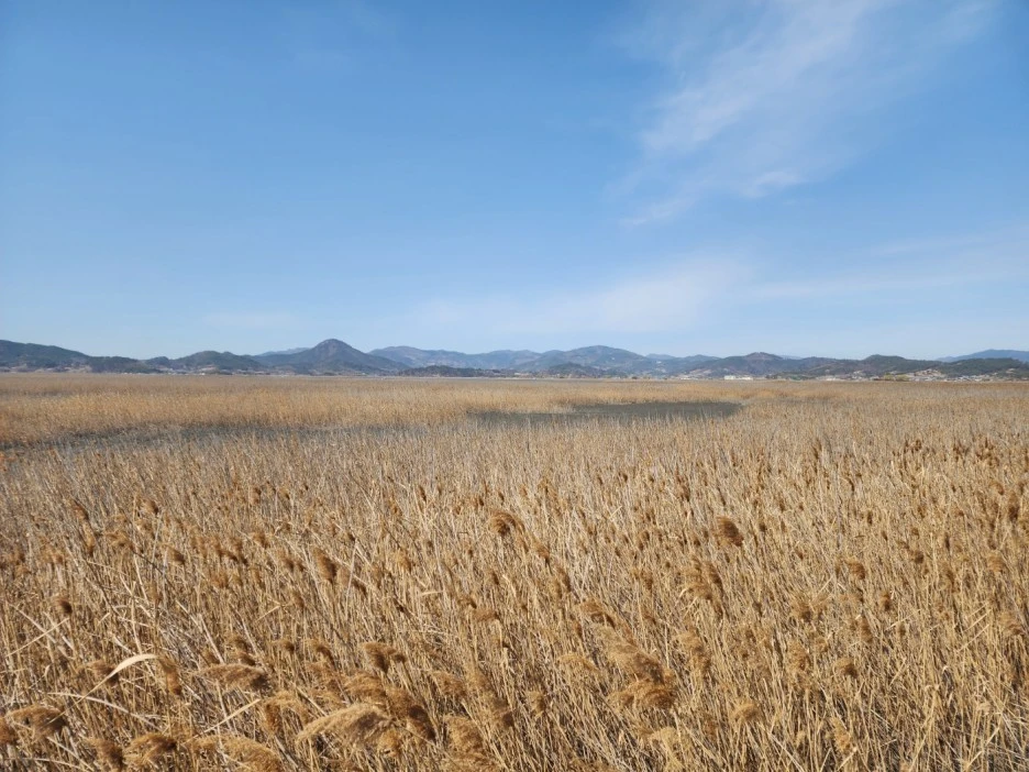 KakaoTalk_20230319_034928264_03.jpg?type=w1