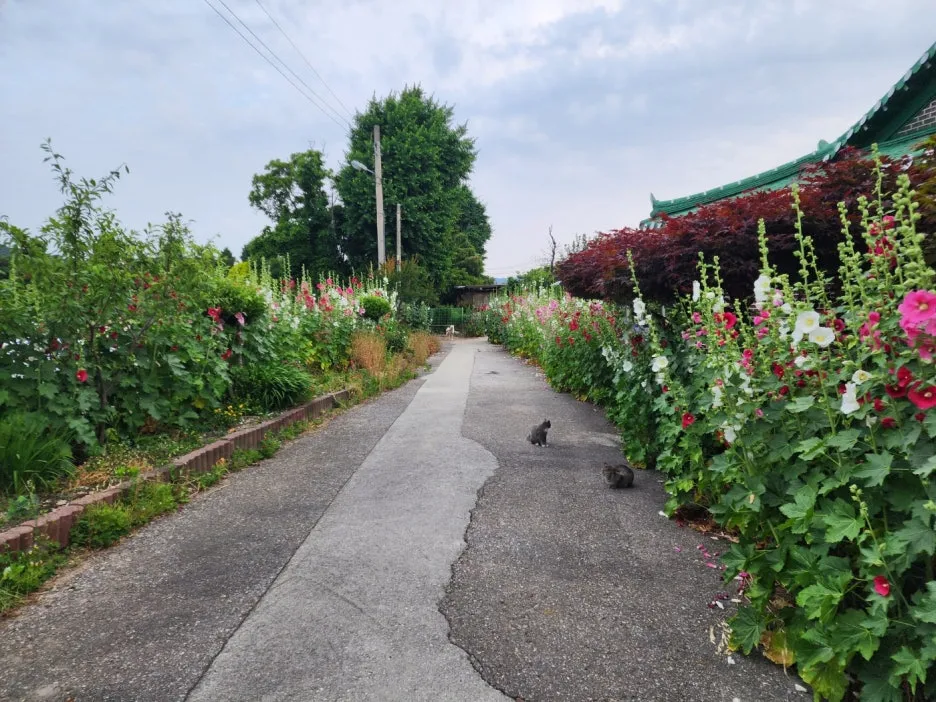 KakaoTalk_20240607_201223809_06.jpg?type=w1