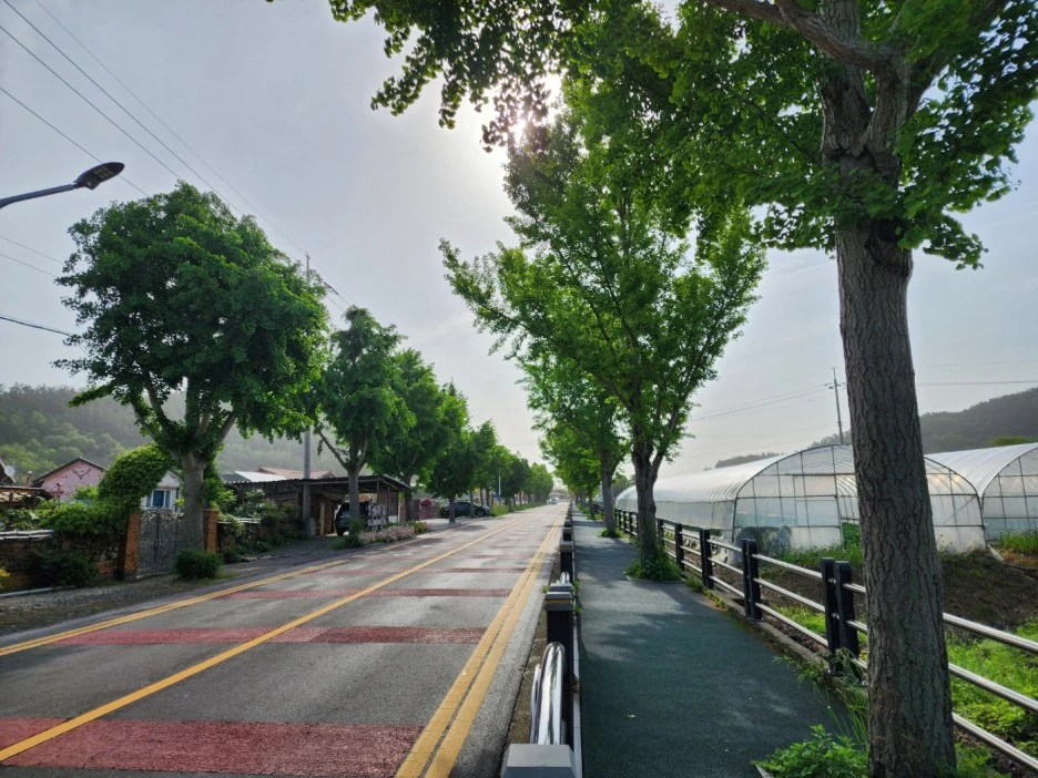 KakaoTalk_20240512_205403502_03.jpg?type=w1