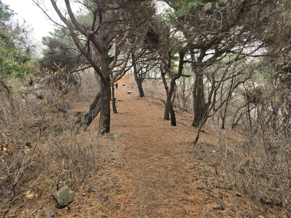 KakaoTalk_20241203_014924310_08.jpg?type=w1