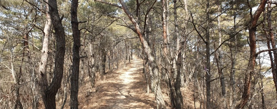 SE-5cc42390-bb19-45c1-af55-c6abf5596bdb.jpg?type=w1