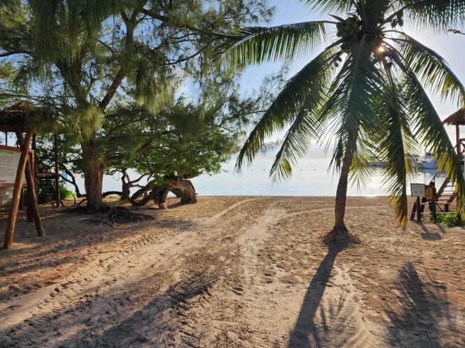 KakaoTalk_20240823_044935669_01.jpg?type=w1