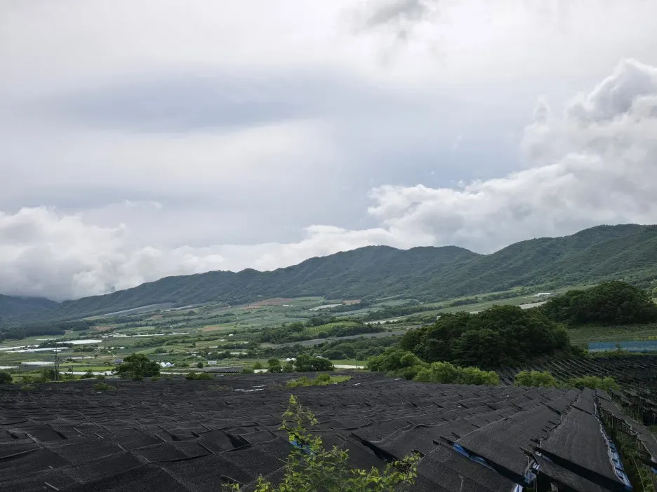 KakaoTalk_20250622_033302012_18.jpg?type=w1